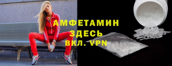 прущие грибы Абинск