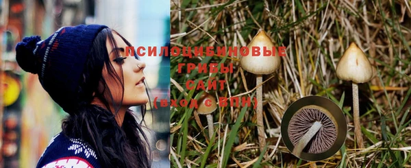 спайс Абдулино