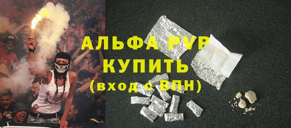 прущие грибы Абинск