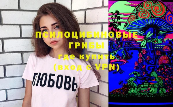 прущие грибы Абинск