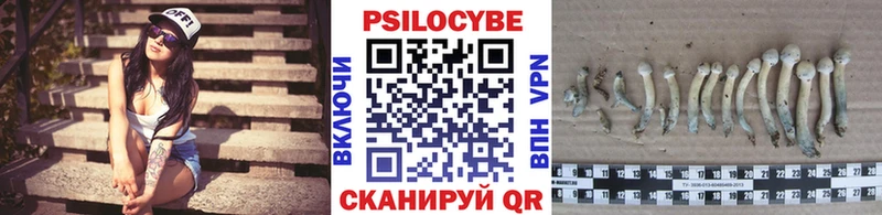 Псилоцибиновые грибы мухоморы  hydra онион  Вологда 