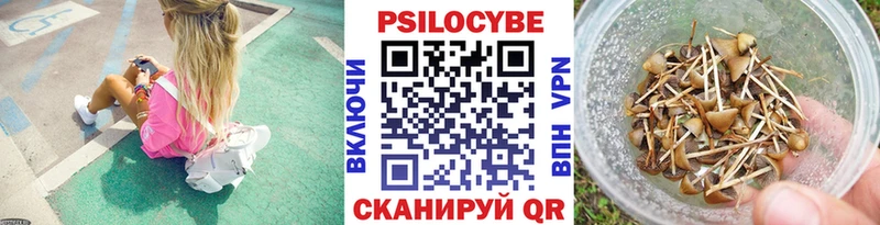 Галлюциногенные грибы Psilocybe Вологда
